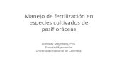 Manejo de fertilización en especies cultivados de pasifloráceas