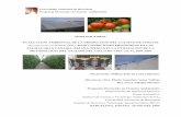 Evaluacion ambiental de la produccion del cultivo de tomate ...