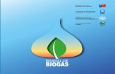Manual de Biogás Nuevo