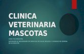 Clinica veterinaria mascotas