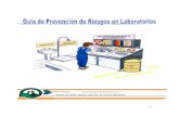Guía de prevención de riesgos en laboratorios.