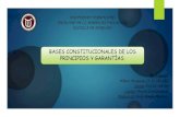 BASES CONSTITUCIONALES DE LOS PRINCIPIOS Y GARANTÍAS.