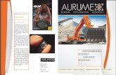 Aurumex Mining Brochure