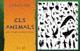 Concurs animals