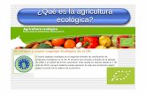 Curso Agricultura Ecológica. Test Pistacho
