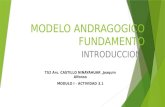 Actividad 3.1 modelo andragogico fundamento