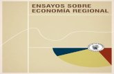 Composición de La Economía de La Región Suroriente de ...