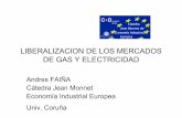 LIBERALIZACION DE LOS MERCADOS DE GAS Y ELECTRICIDAD