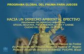Jornada de Derecho Ambiental y Justicia 2009