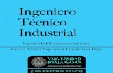 Ingeniero Técnico Industrial. Especialidad: Electrónica Industrial