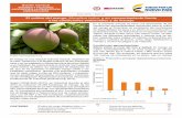 El cultivo del mango, Mangifera indica, y su comportamiento frente a ...