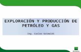 Exploración y Producción de Petróleo y Gas