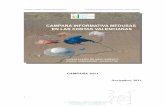 Campa±a informativa medusas en las costas valencianas
