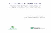 Cultivar Mulato