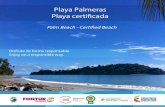 Playa Palmeras Playa certificada