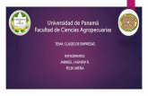 Universidad de panamá 3ra presentacion, clases de empresas