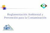 Reglamentación Ambiental y Prevención para la Contaminación.pdf