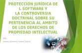 PROTECCIÓN JURÍDICA DEL SOFTWARE Y LA CONTROVERSIA DOCTRINAL SOBRE SU PERTENENCIA AL AMBITO DE LOS DERECHOS DE PROPIEDAD INTELECTUAL
