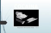 Cocaína - Enfermedades, Adiccion, Fabricacion, Sintomas de Consumo.