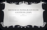 Sistemas integrados de gestion (erp)