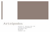 Curso de Microbiología -  29 - Artrópodos