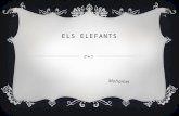 Els elefants by Mohamed
