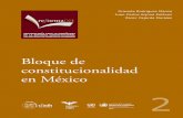 Bloque de constitucionalidad en México