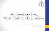 1. Antimetabolitos. Metotrexate y Citarabina