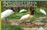 Revista Argentina Ambiental Nº 42 en pdf