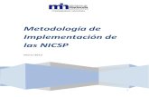 Metodología de Implementación de las NICSP