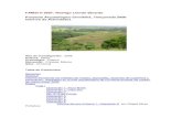 Proyecto Arqueológico Chinikihá, Temporada 2006, Informe de ...