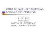 Presentación Dr. Rubén del Rio