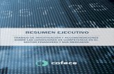 Resumen ejecutivo (versión en español)