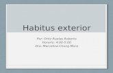 Habitus exterior orr