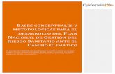 Bases conceptuales y metodológicas para el desarrollo del Plan ...