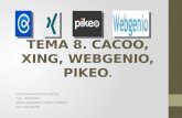 CACOO, WEBGENIO, PIKEO, XING.
