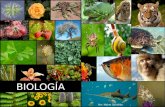 Conceptos Básicos Biología