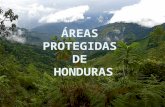 Areas protegidas de honduras