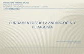 Fundamentos de la andragogía y pedagogía.pptx
