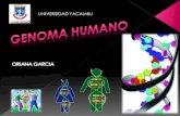 proyecto de genoma humano