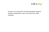 Instrucciones avanzadas para Intercambio de archivos de eBay