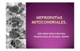 (Microsoft PowerPoint - Nefropat\355as mitocondriales.ppt)