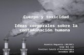 Cuerpo y toxicidad: ideas corporales sobre la contaminación humana