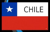 Exposición Chile