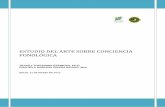 Estudio del arte sobre Conciencia fonológica. Por Tracey Tokuhama-Espinosa y Mariana Rivera. Marzo 2013