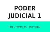 Poder judicial 1