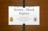 Sepsis   sepsis severa - shock séptico
