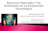 Recursos naturales y nuevos materiales utilizados en la producción de tecnológicas