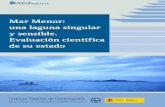 Mar Menor: una laguna singular y sensible. Evaluación científica de ...