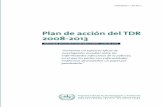 Plan de acción del TDR 2008-2013